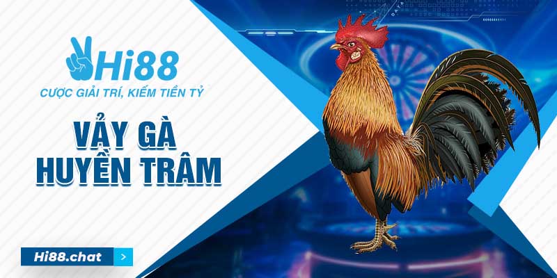 vảy gà huyền trâm